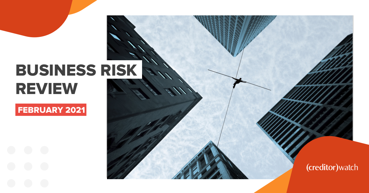 Business risk review - February 2021
