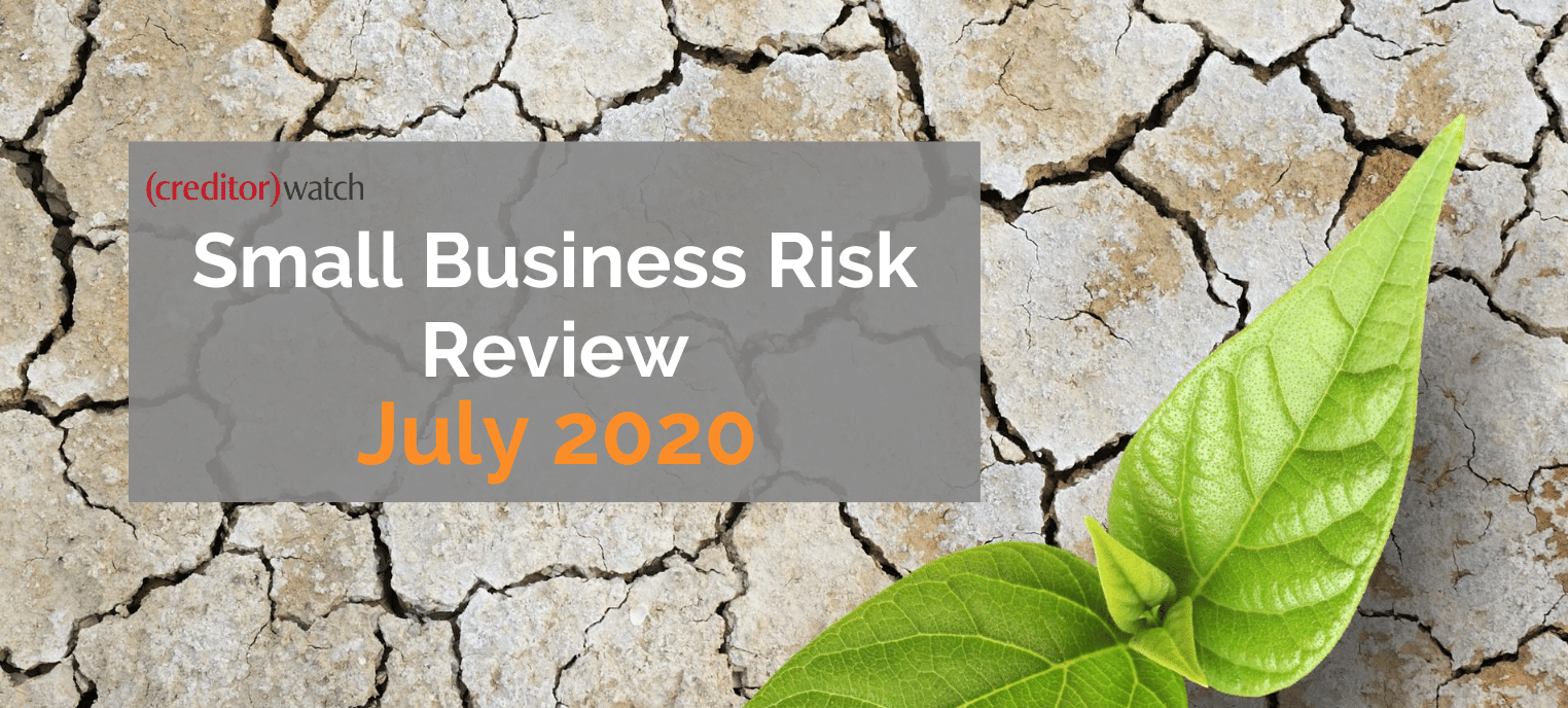 Small business risk review July 2020