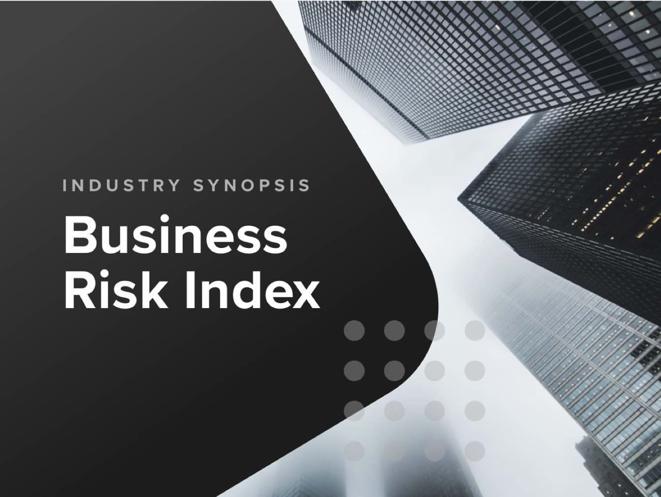 Industry Synopsis - Business Risk Index