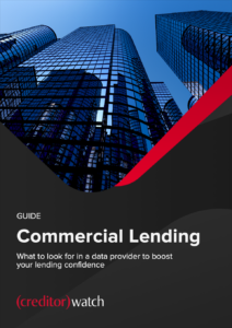 Cover Image of the Commercial Leading Guide