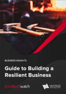 Cover of BUSINESS INSIGHTS: Guide to Building a Resilient Business